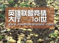种植基地七