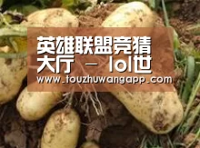 产品展示标题2