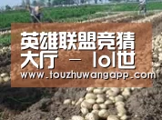 种植基地七(图1)
