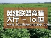 种植基地五(图1)