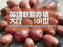 产品展示标题5(图1)