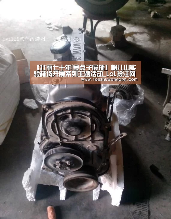 LoL投注网站 | 2026年最佳英雄联盟投注网站