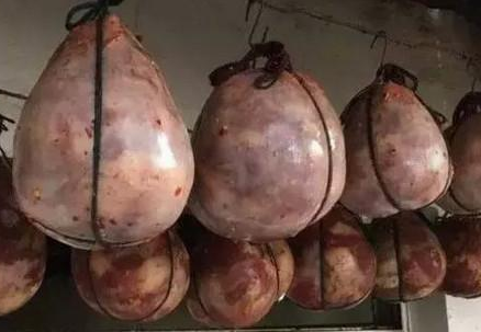 LoL投注网站直播