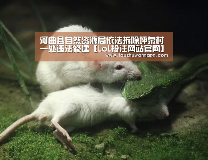 LoL投注网站 | 2026年最佳英雄联盟投注网站
