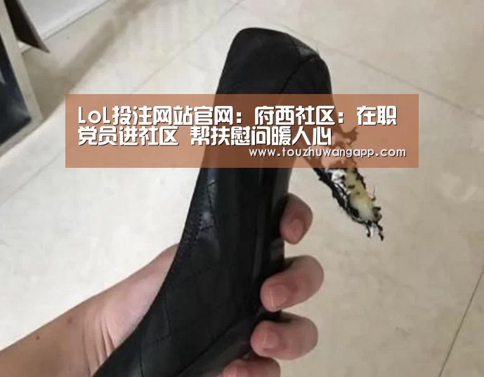 LoL投注网站官网:府西社区:在职党员进社区 帮扶慰问暖人心(图1) LoL投注网站官网