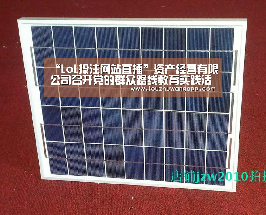 “LoL投注网站直播”资产经营有限公司召开党的群众路线教育实践活动班子专题民主生活会(图1) 2026年最佳英雄联盟投注网站